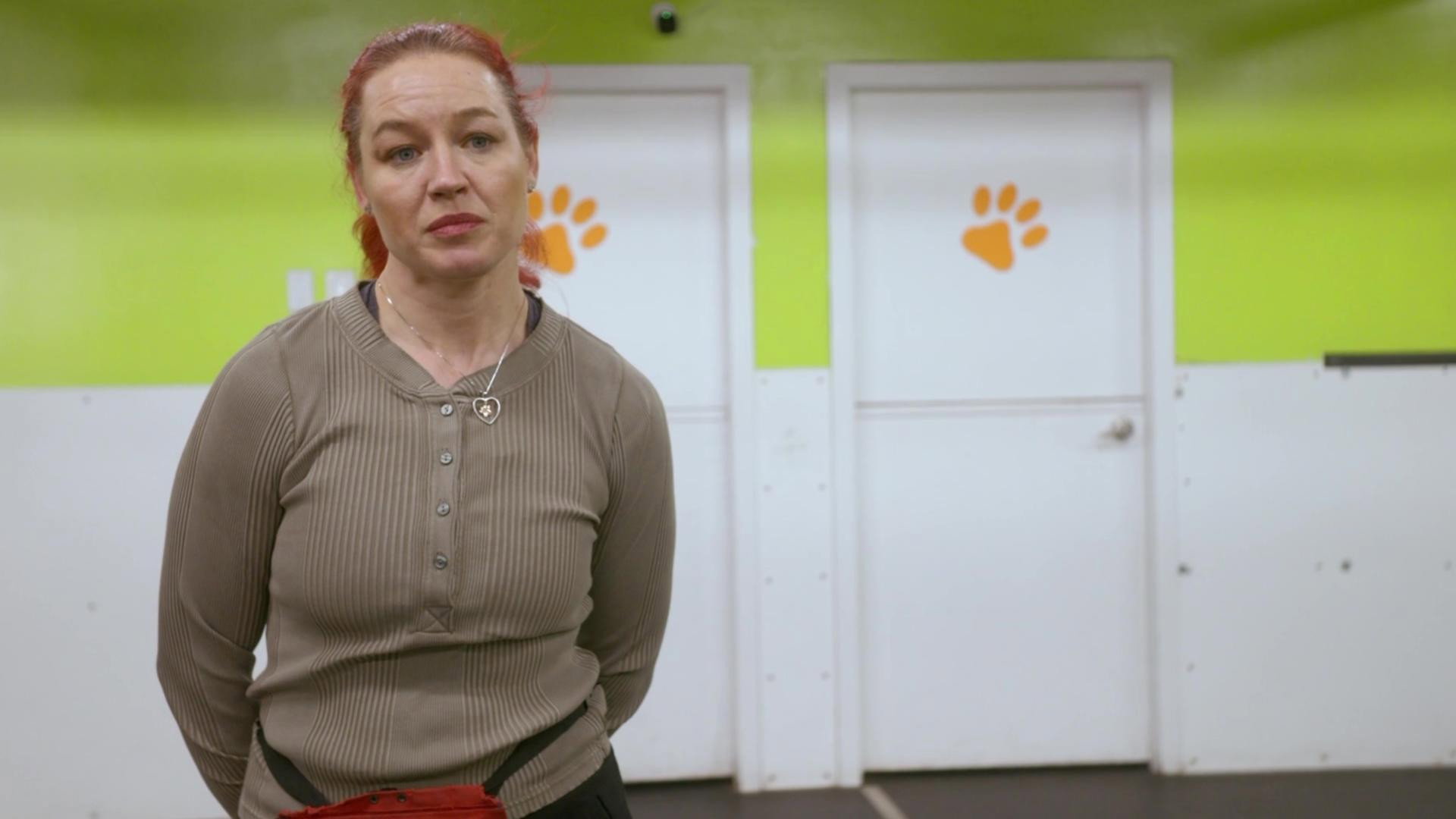 The Secret Life of Dancing Dogs S01E03 backdrop