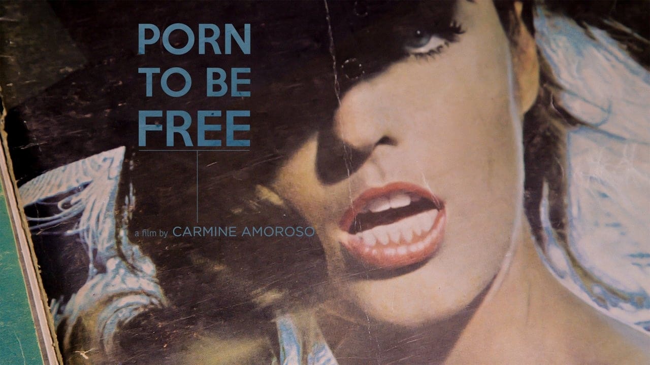 Porn To Be Free (2016)