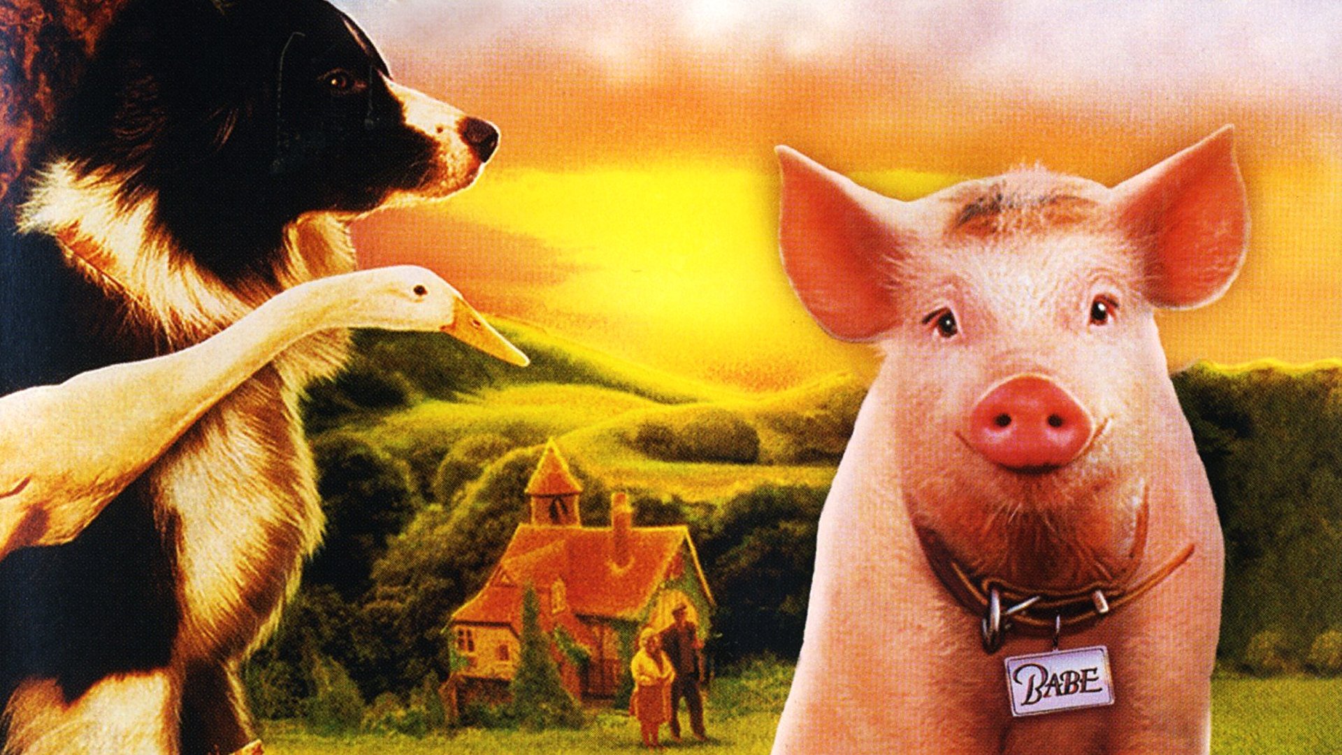 Babe, le cochon devenu berger (1995)