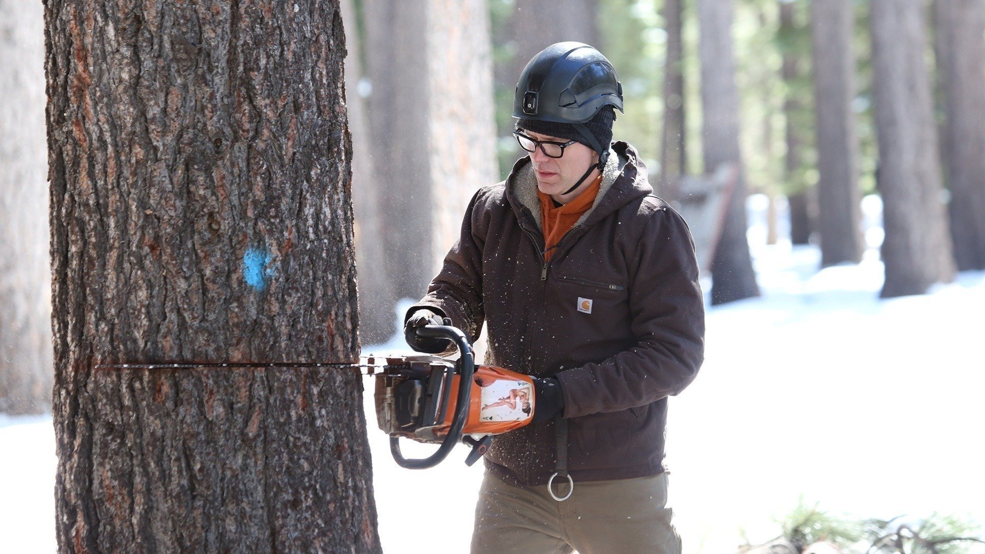 Thumbnail for Up a Tree Season 1 Episode 13