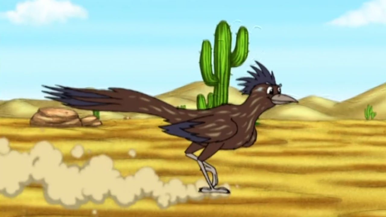 Go, Diego, Go!