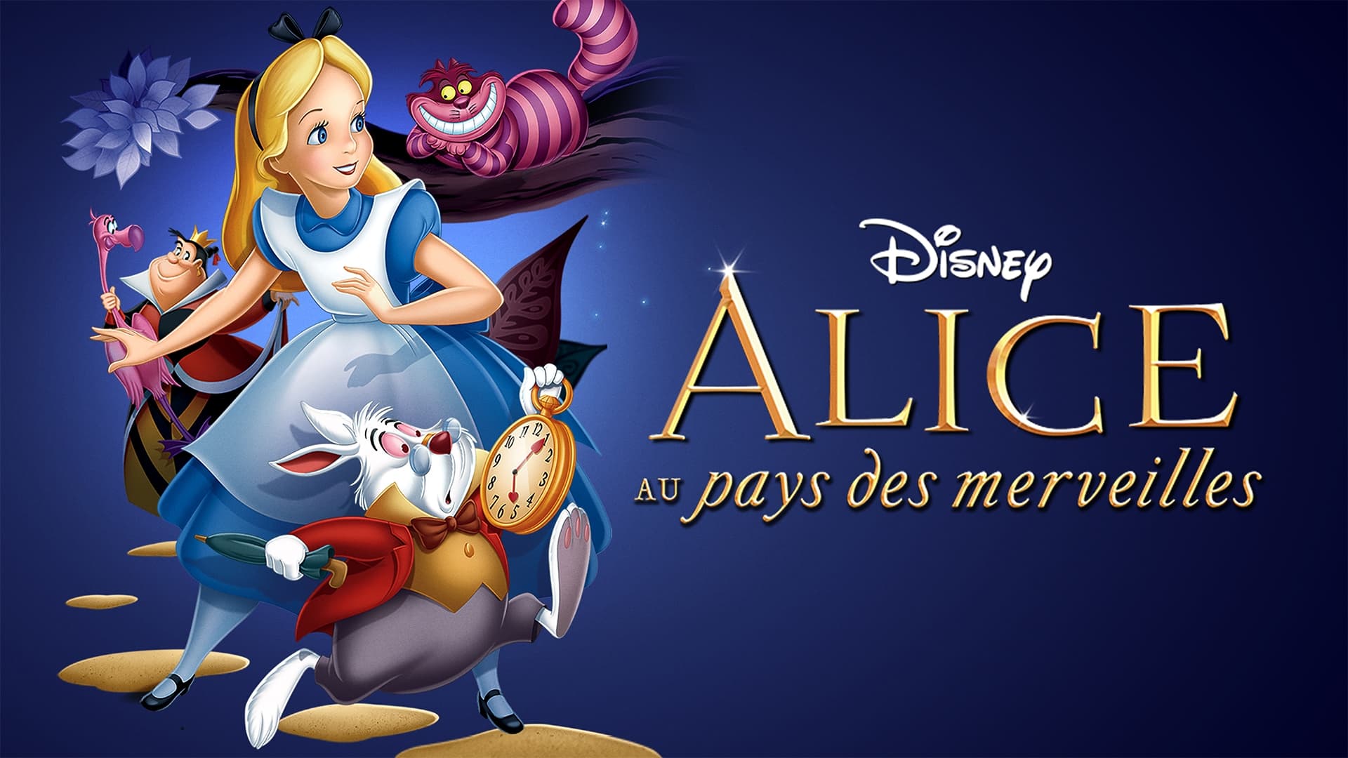 Image du film Alice au pays des merveilles 19jsug9it1syy6xrqcnkjvid4o2jpg