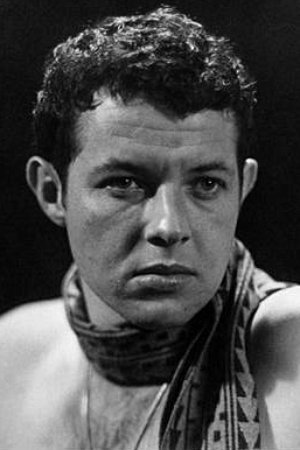 et billede af Dahn Ben Amotz