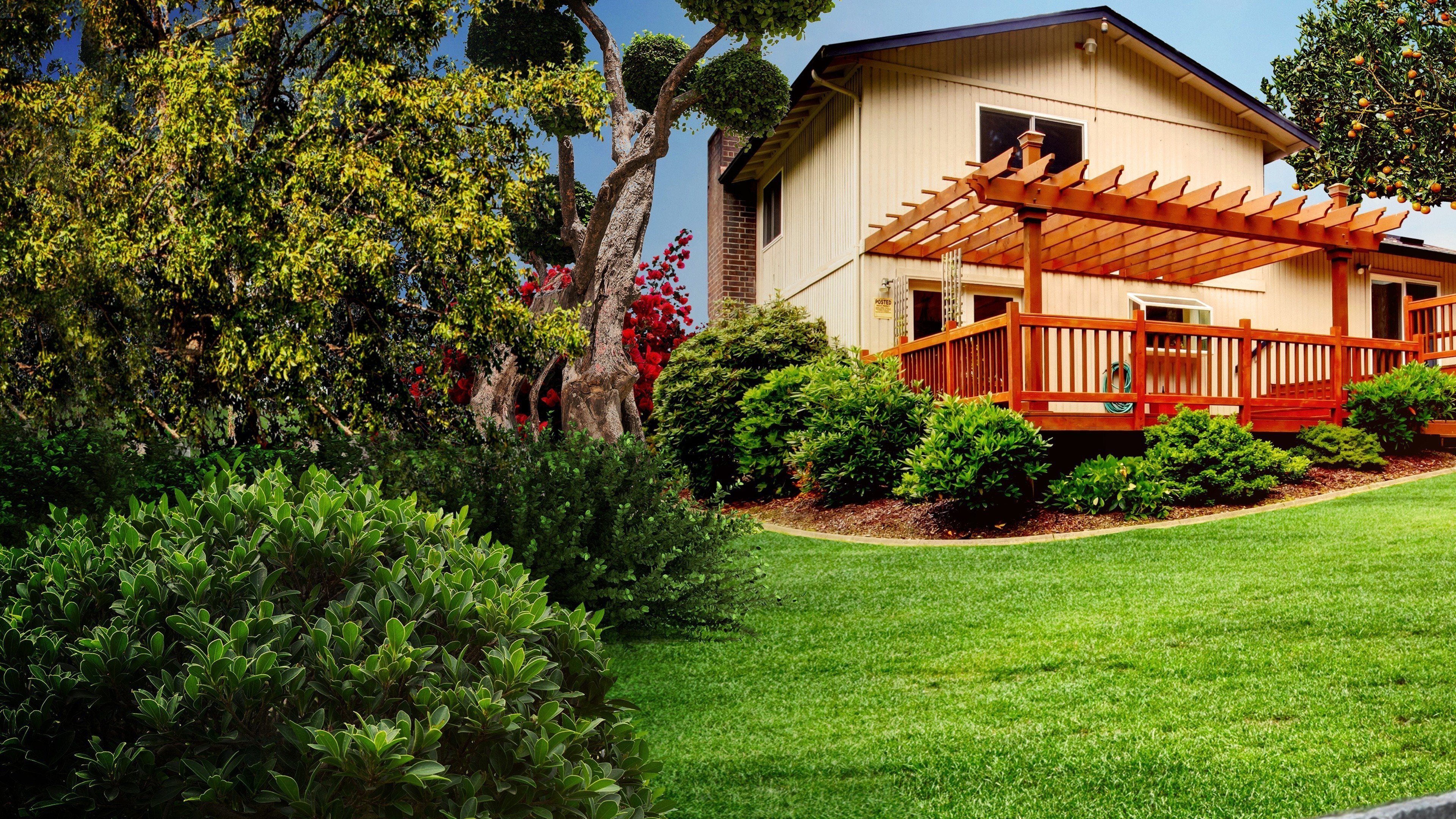Curb Appeal Xtreme