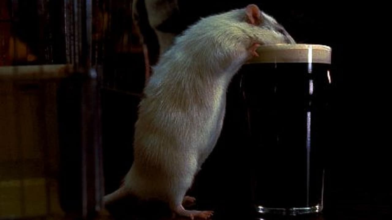 Rat (2001)