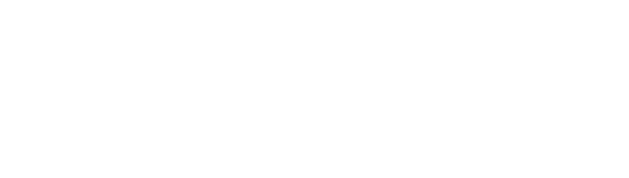 Sense and Sensibility Logo