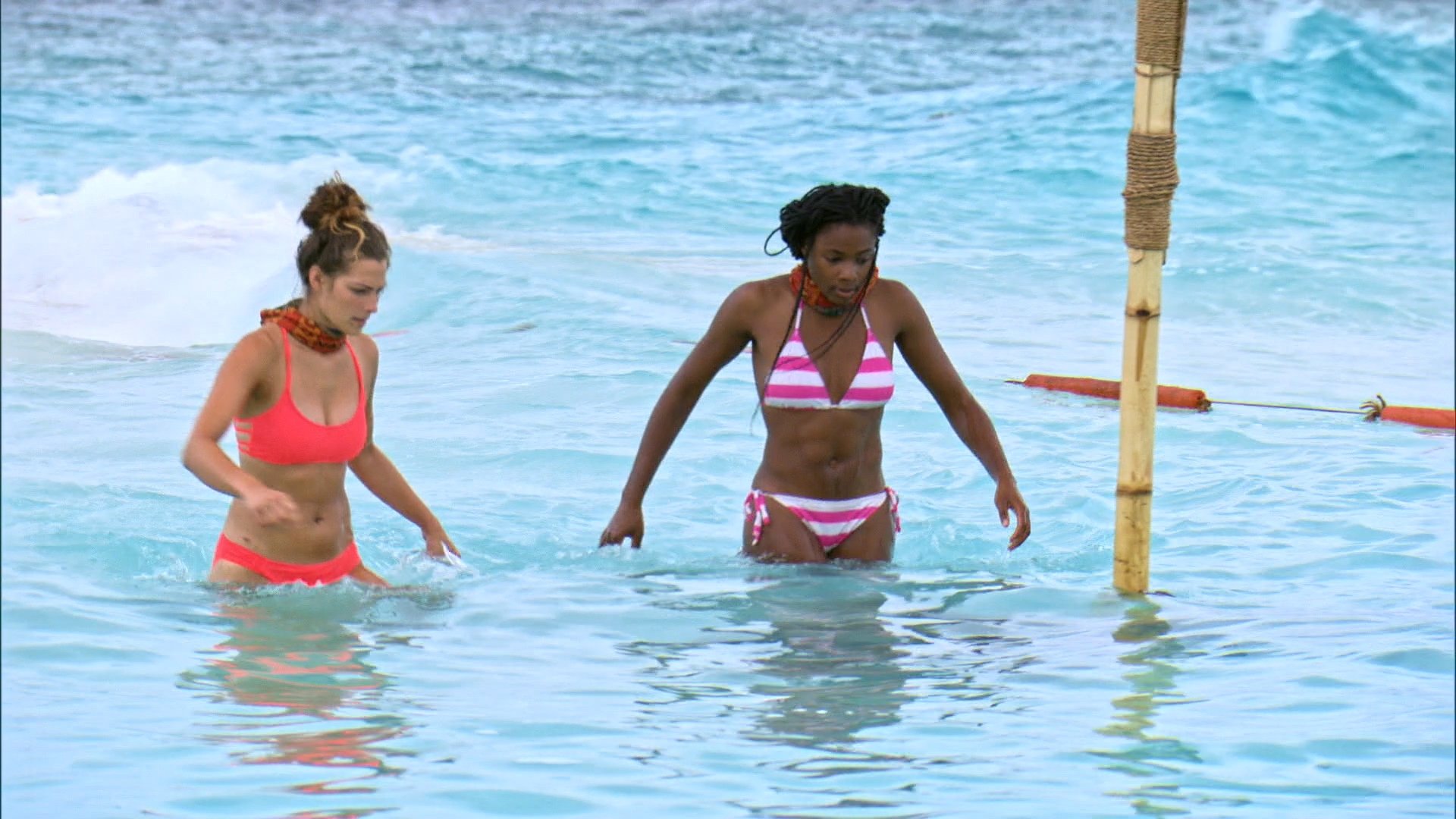 Survivor 33x4
