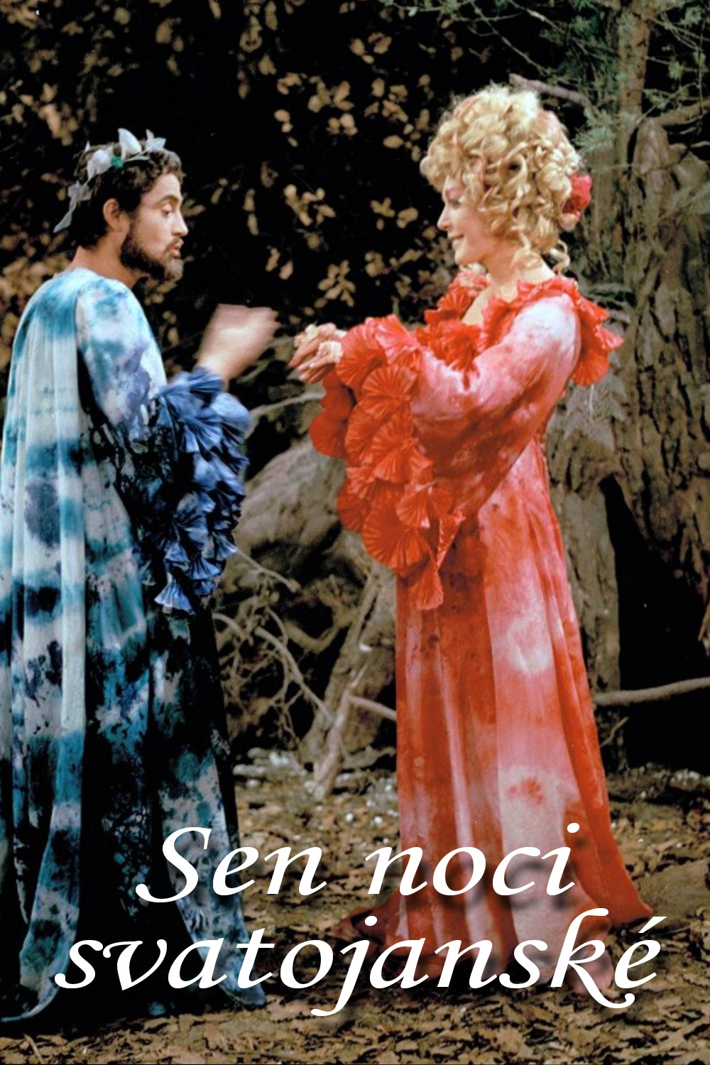 Sen noci svatoj&aacute;nsk&eacute;