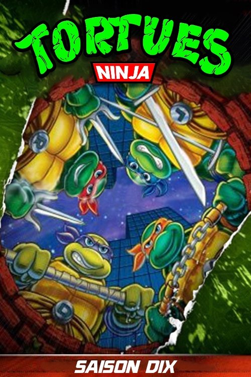 Artwork de la saison 1 de Les Tortues Ninja : Les Chevaliers d'écaille