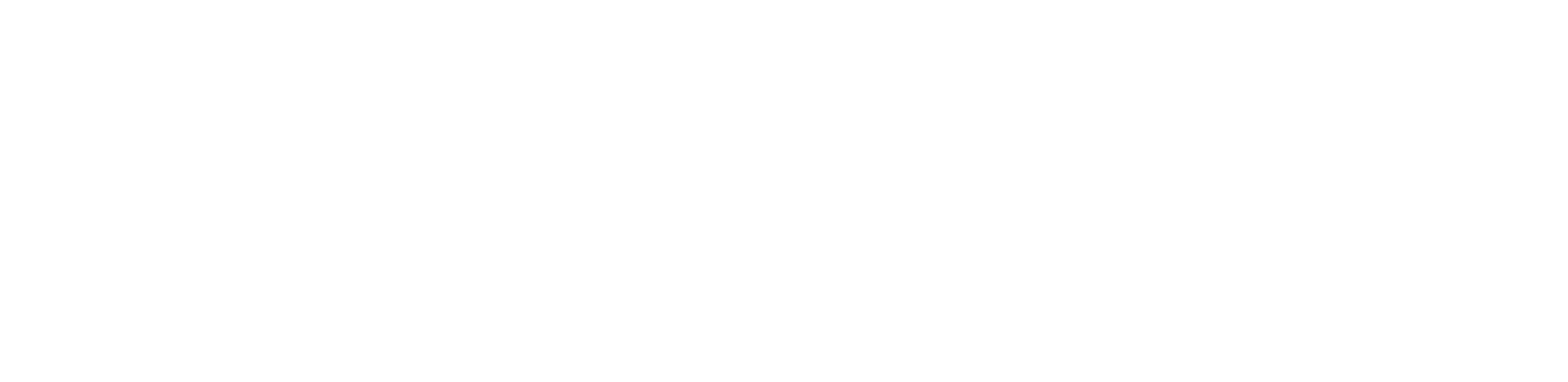 Bogus Logo