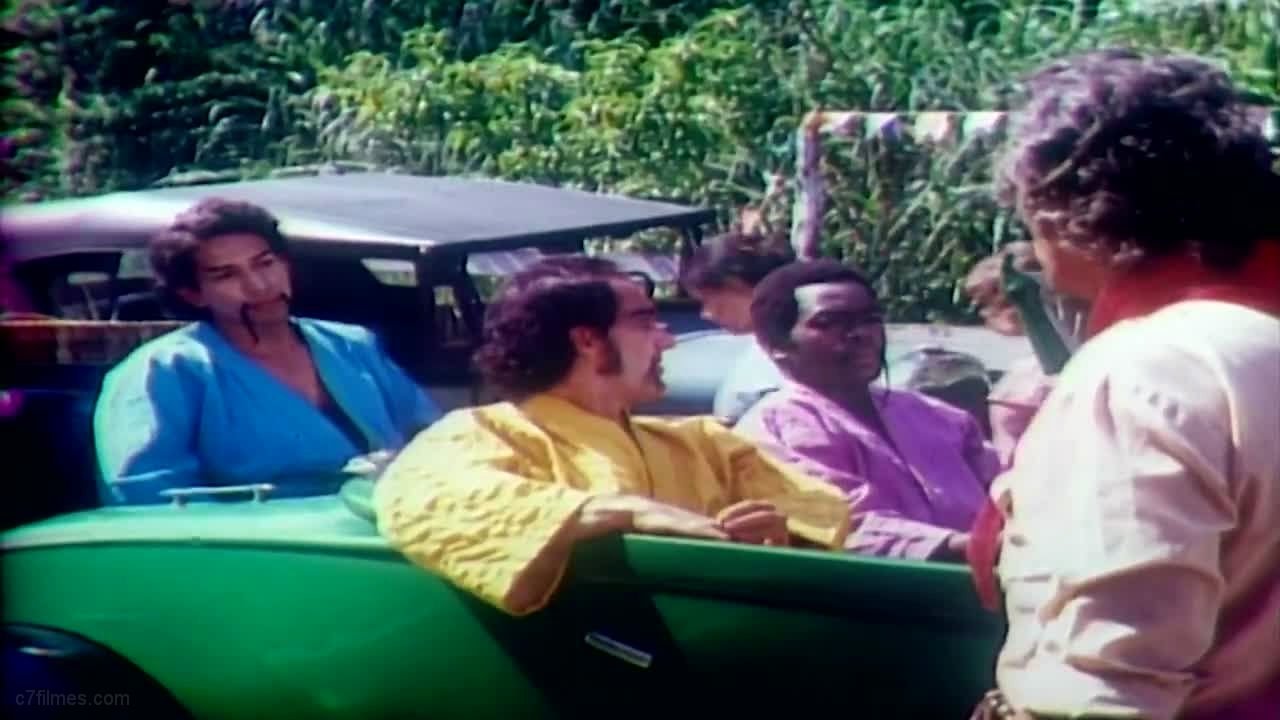 Robin Hood, O Trapalhão da Floresta