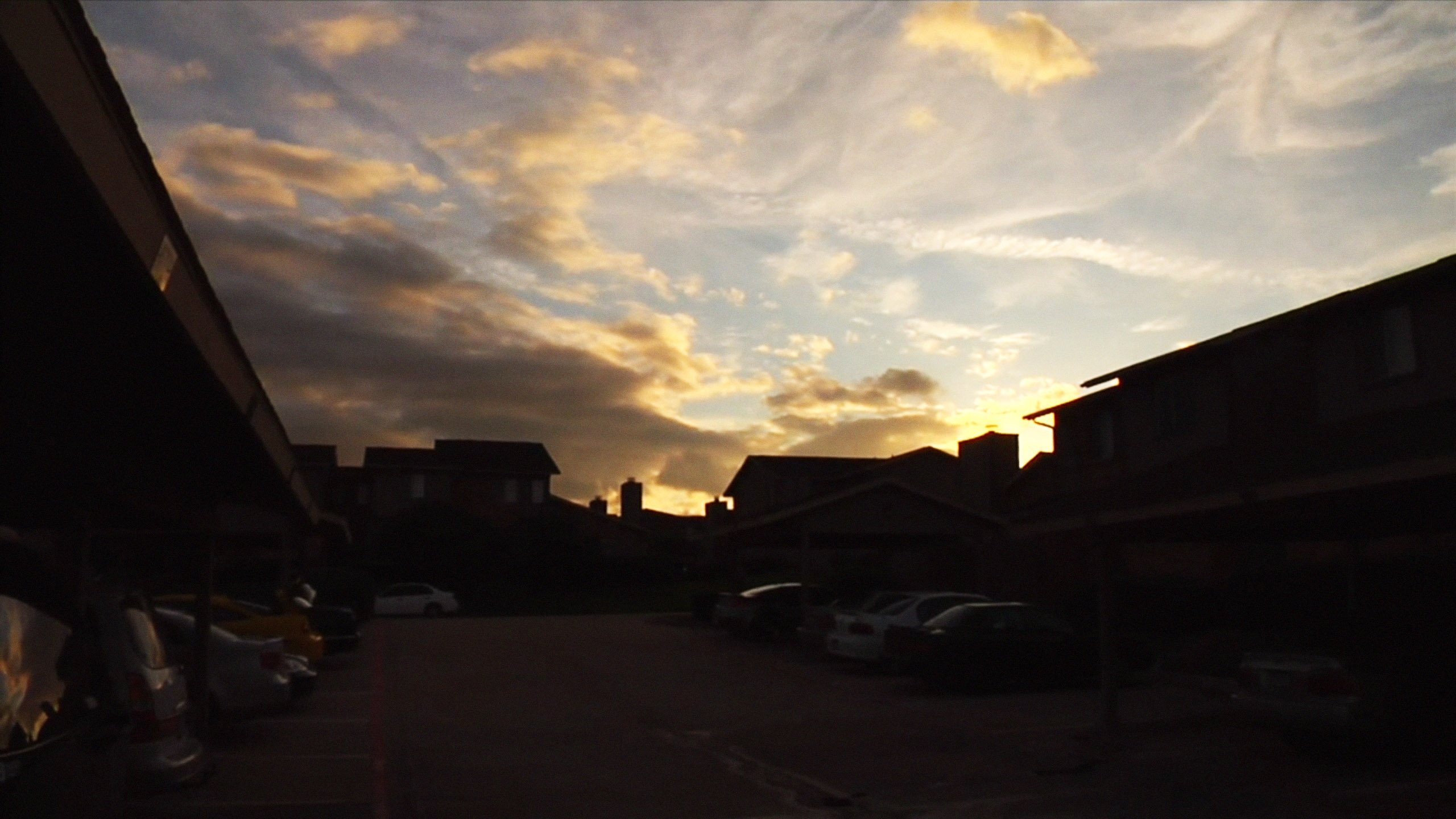 No Ward (2009)