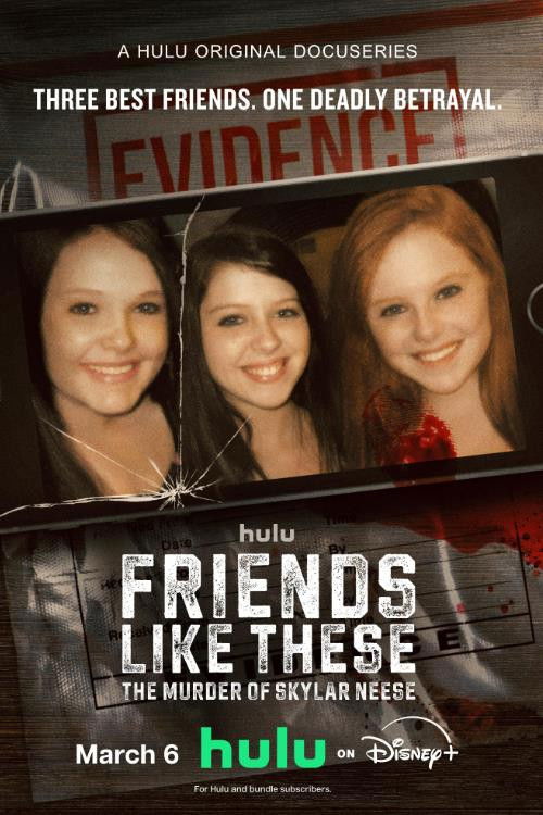 poster tv Friends Like These: The Murder of Skylar Neese