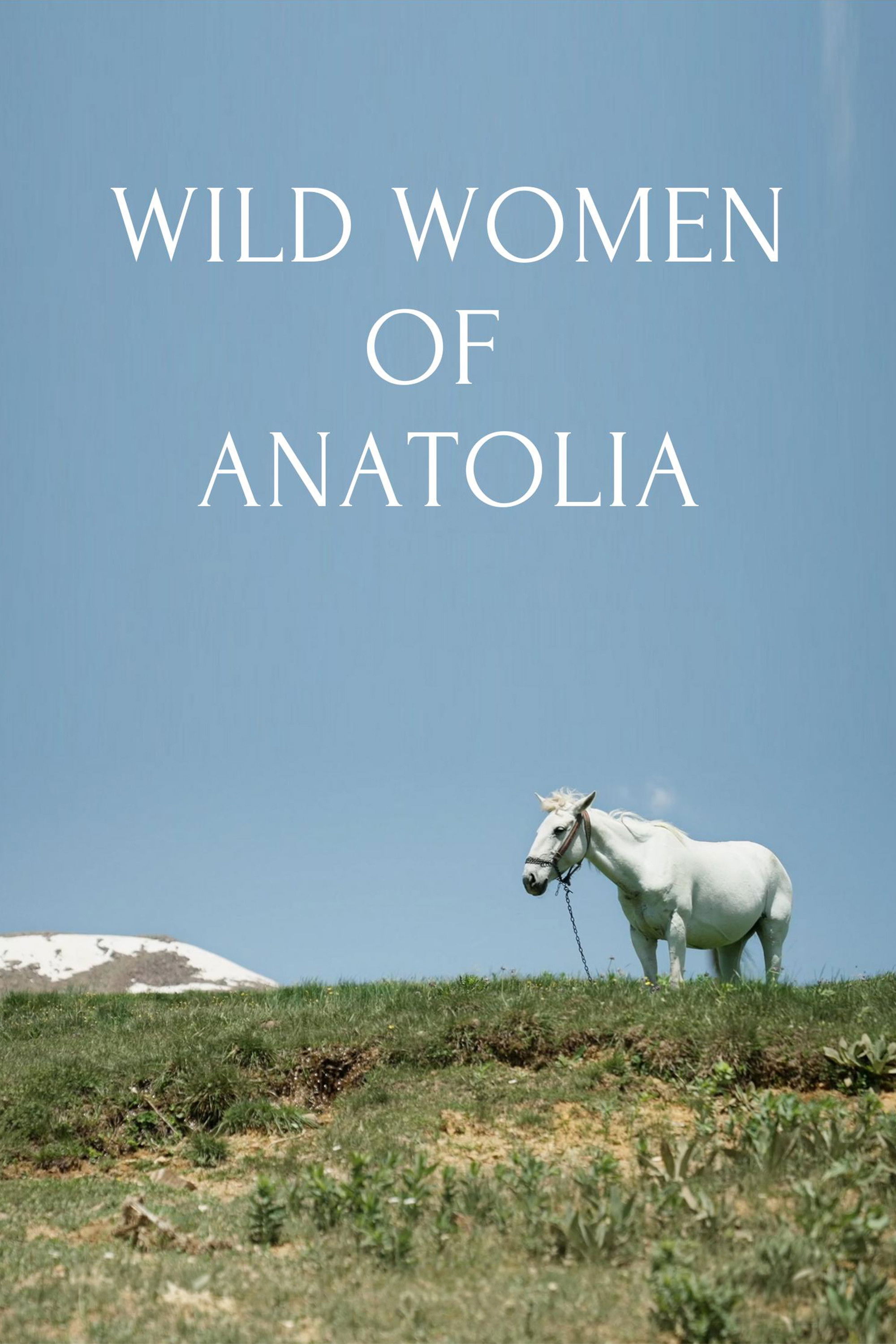 Plakat, der markedsfører Wild Women of Anatolia