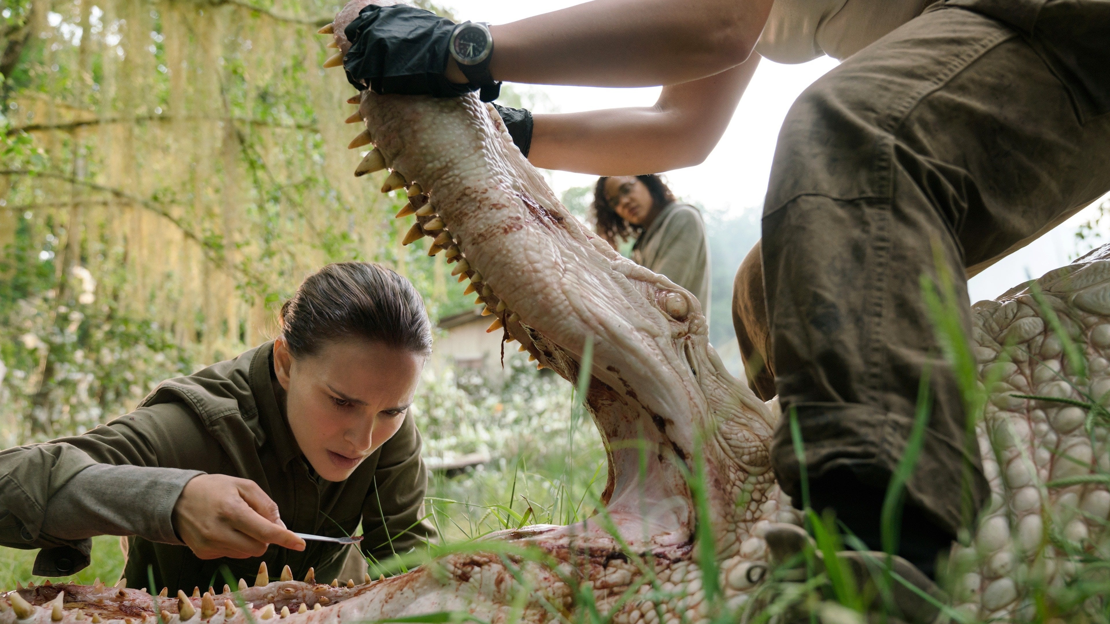 Annihilation (2018)