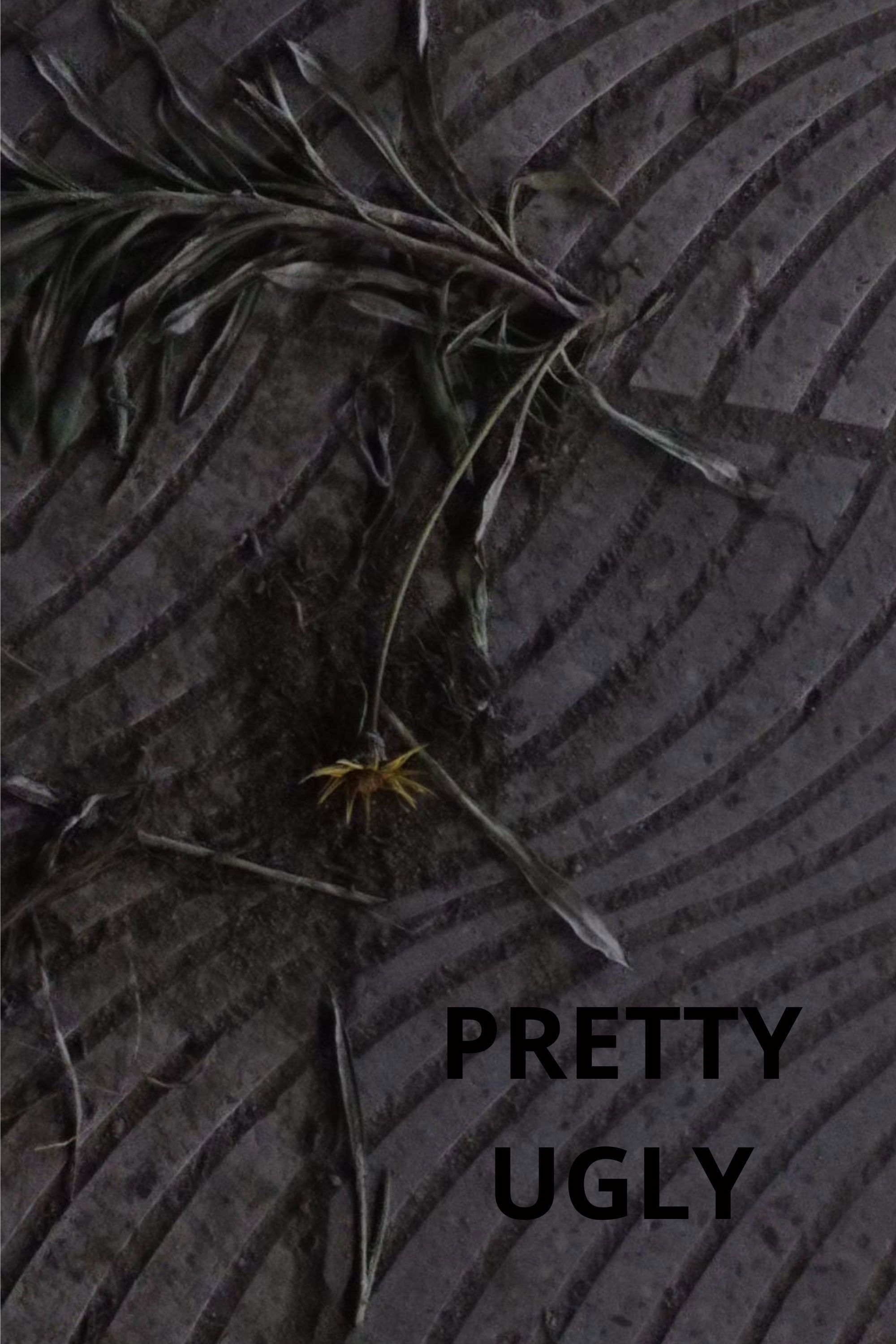 Pretty Ugly