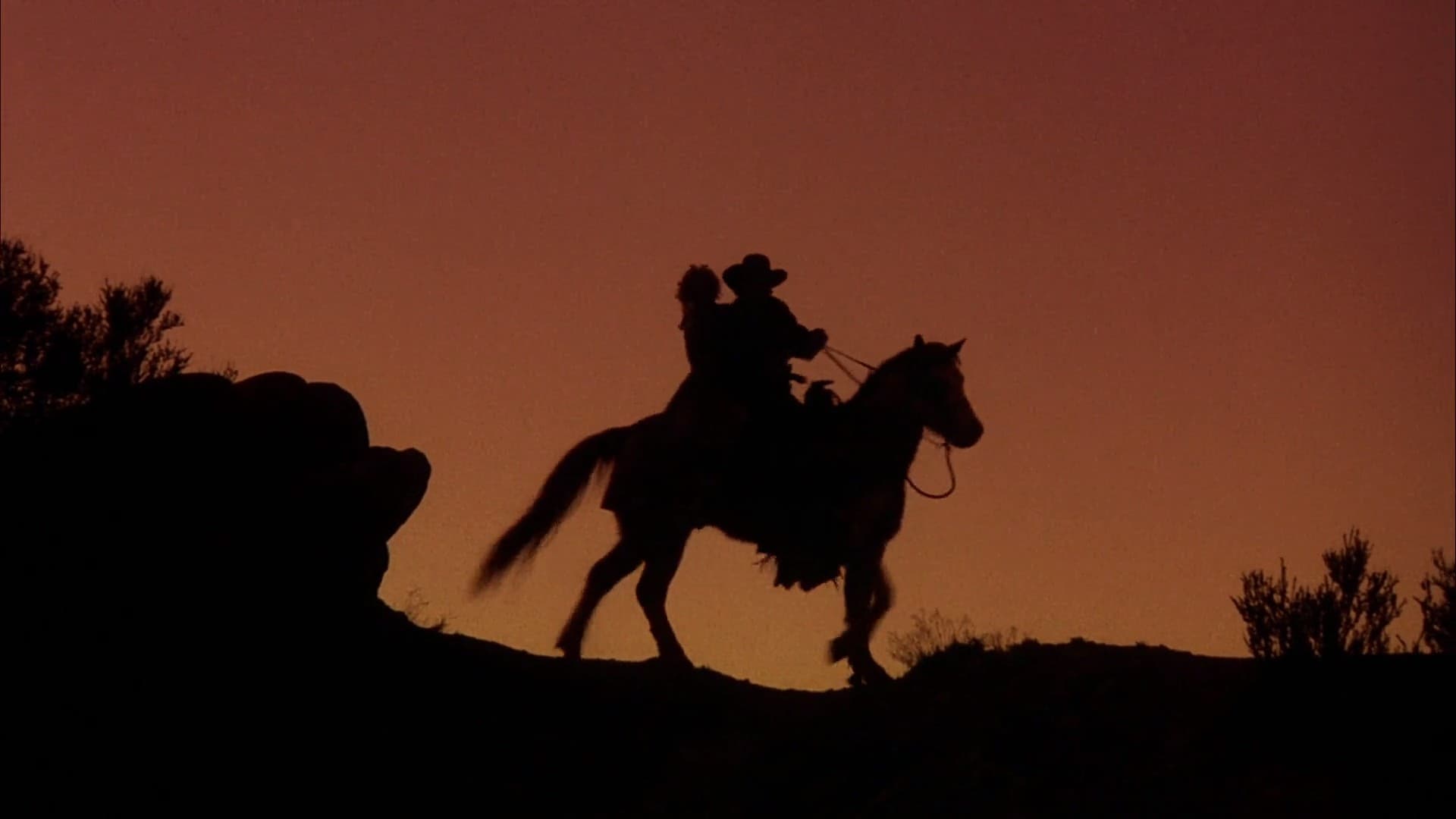The Shooter (1997)