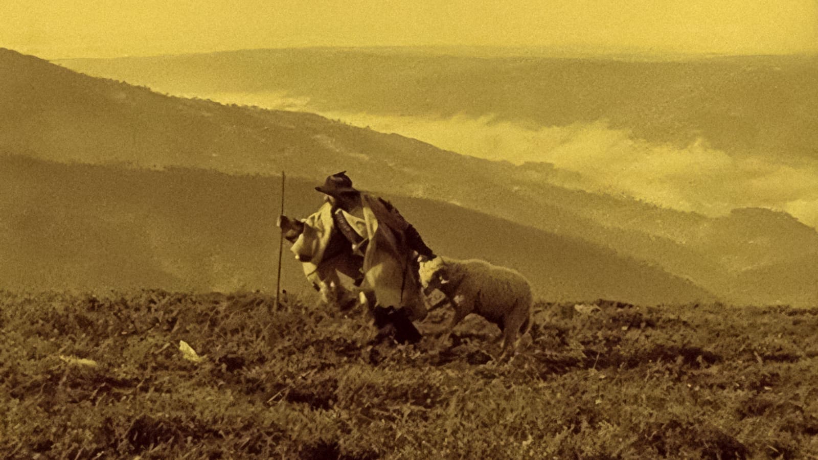 Os Lobos (1923)