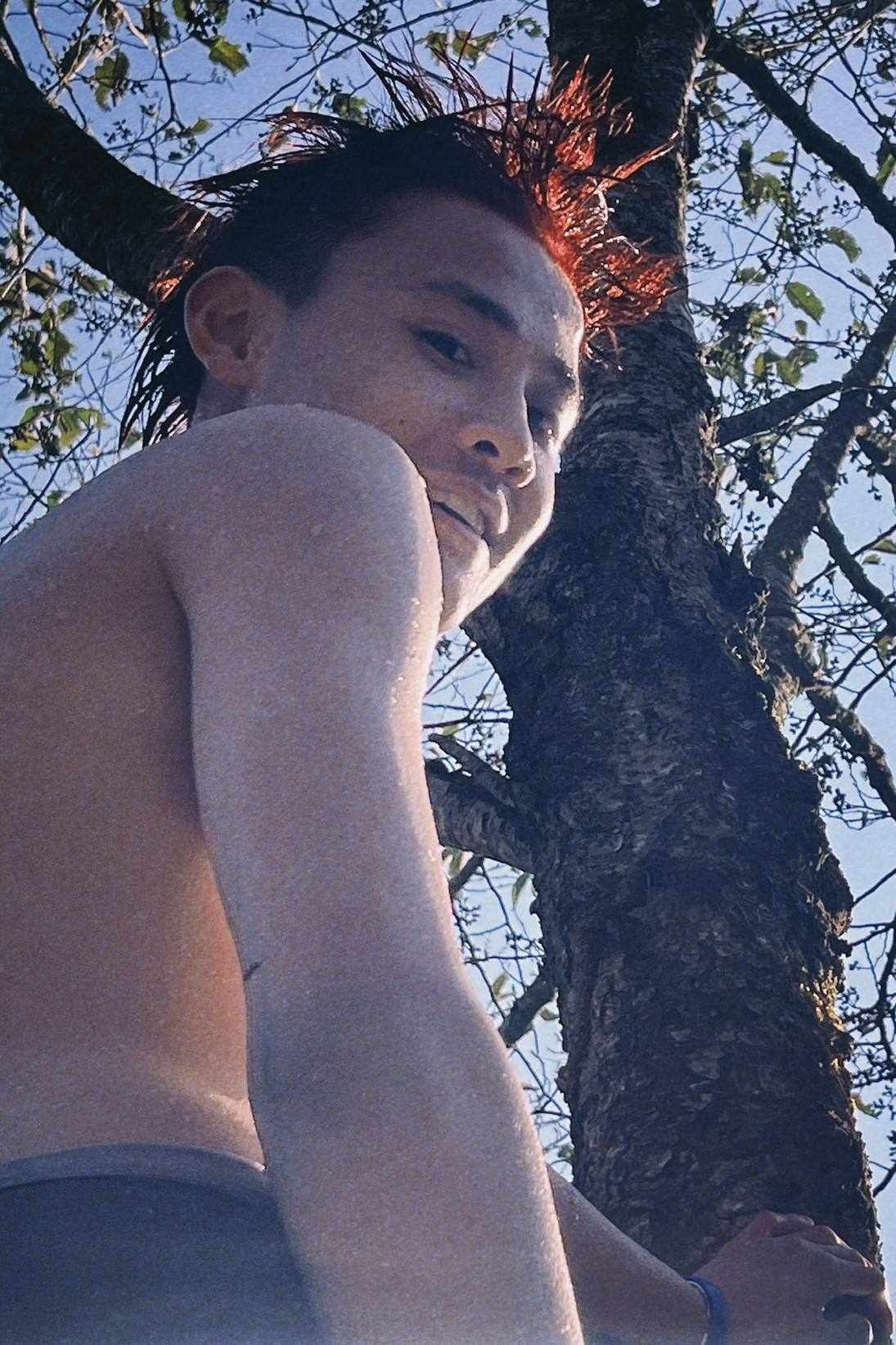 et billede af 高小康