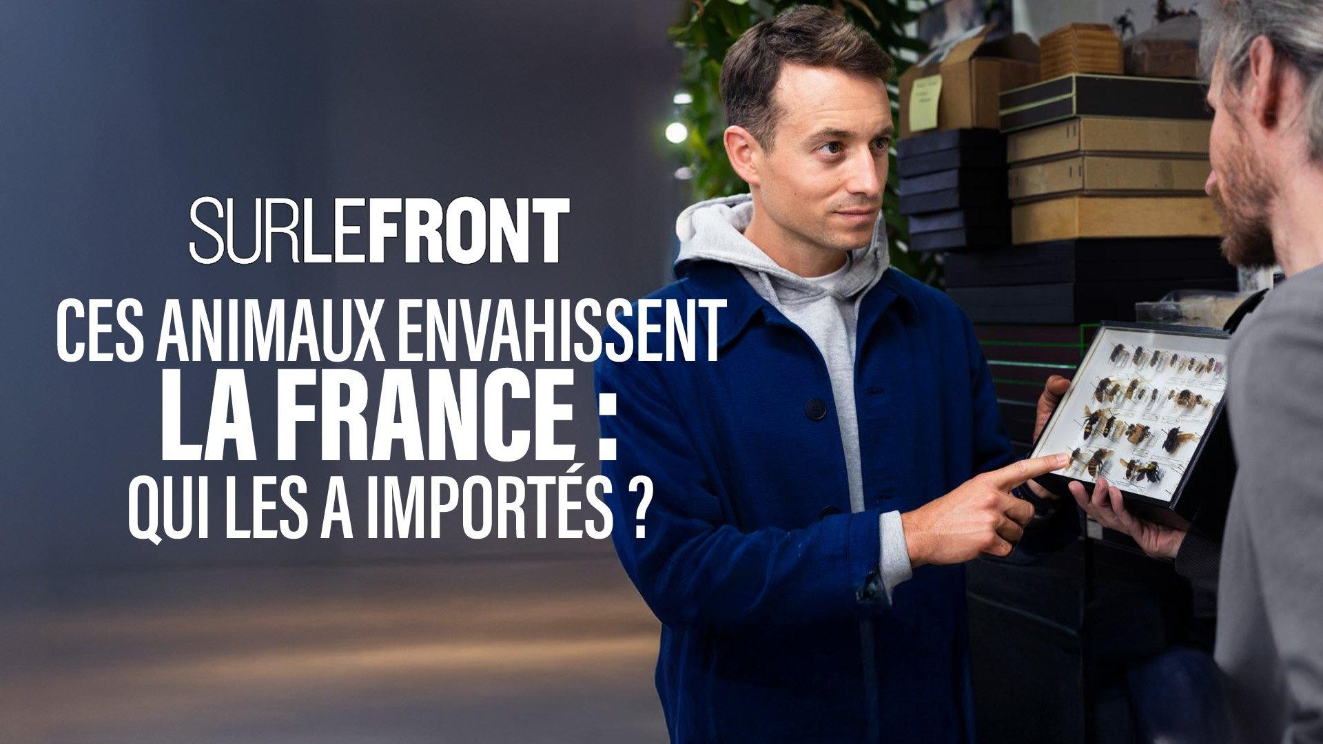 Sur le front - Ces animaux envahissent la France : qui les a importés ?
