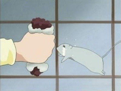 Fruits Basket