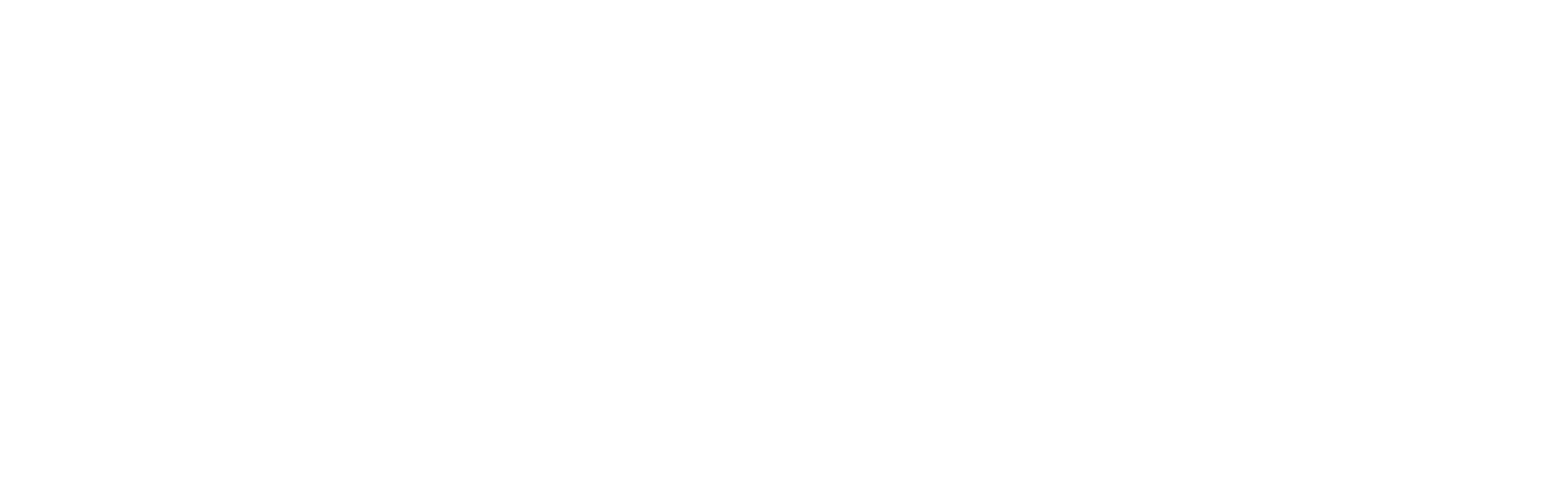 Introducing, Selma Blair Logo