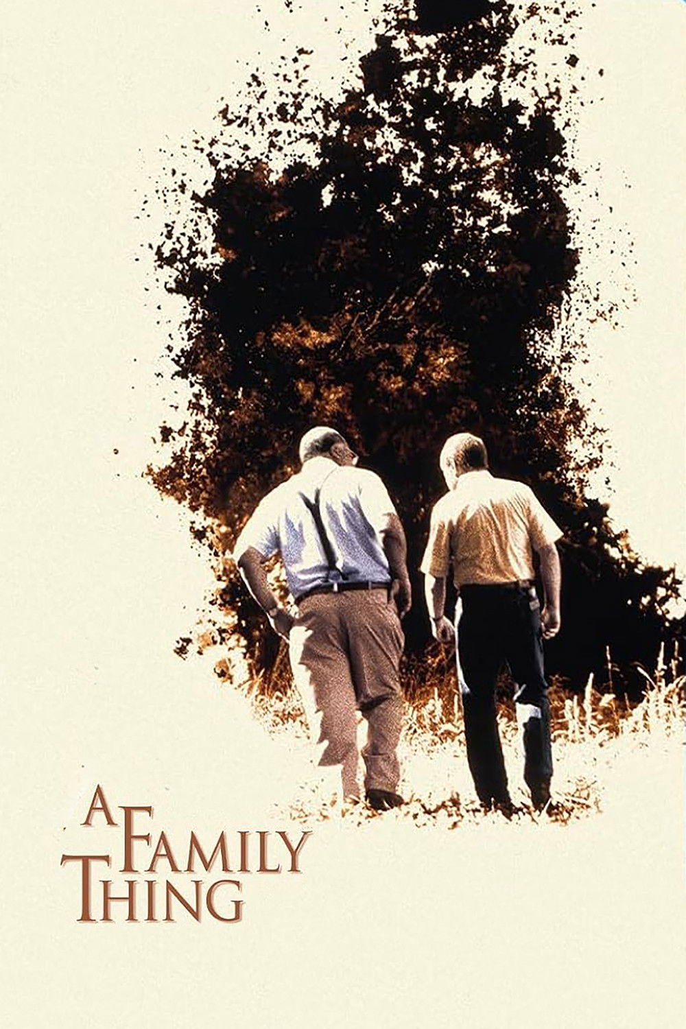 A Family Thing (1996)