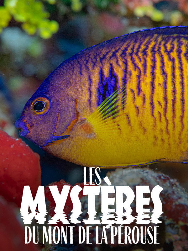 The mysteries of Mont La P&eacute;rouse
