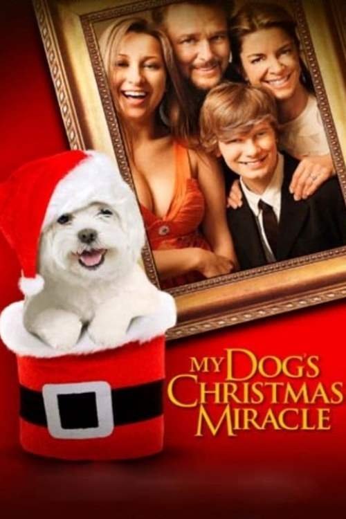 My Dog's Christmas Miracle