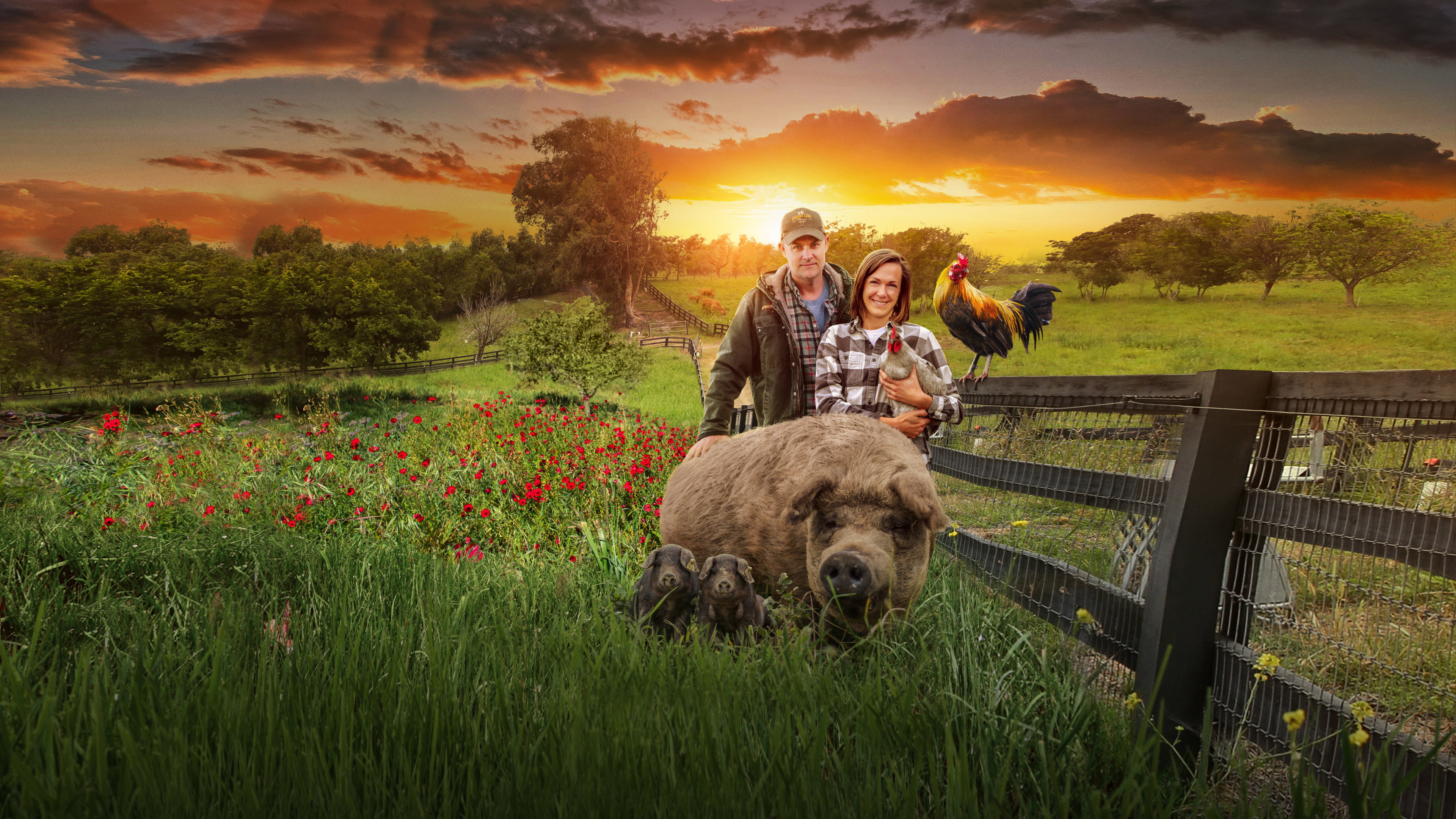The Biggest Little Farm The Return 2022 AZ Movies