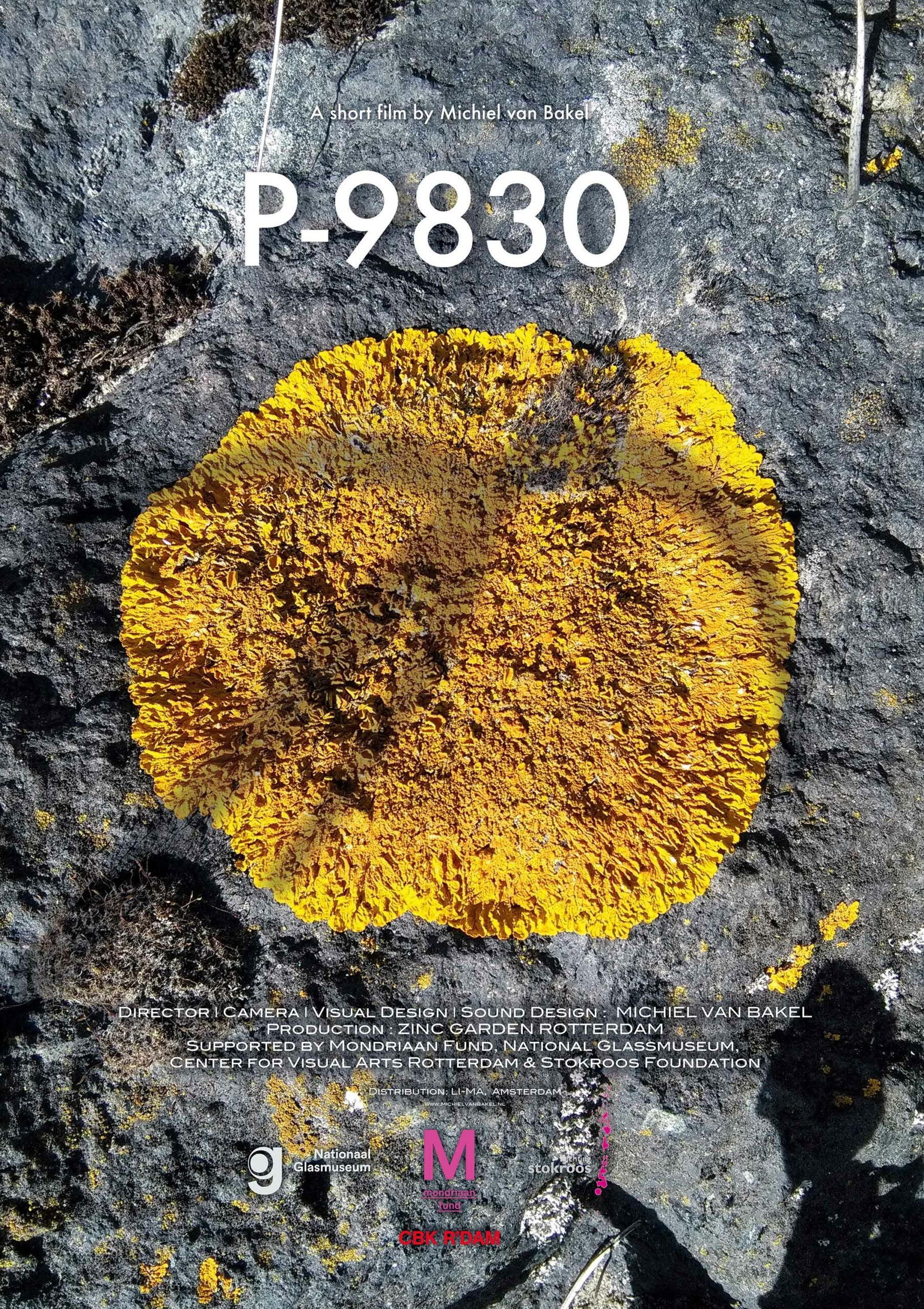 Poster for P-9830