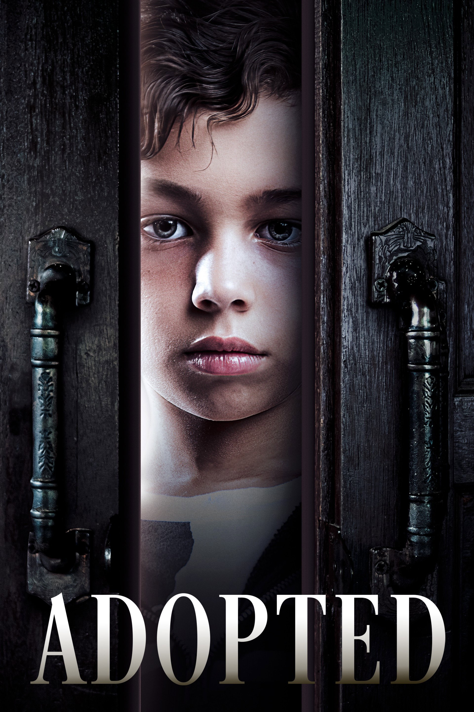 poster movie Adopted