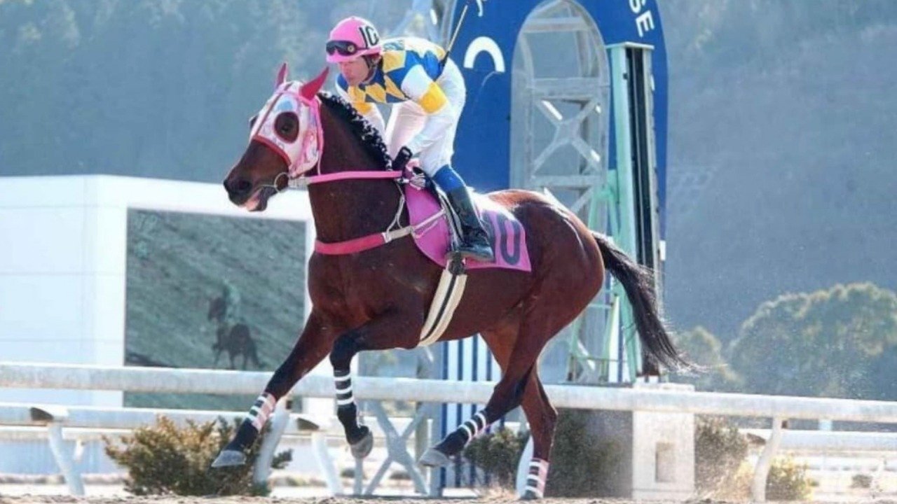 Haru Urara (2005)
