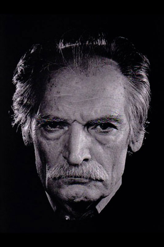 et billede af Mahmoud Dowlatabadi