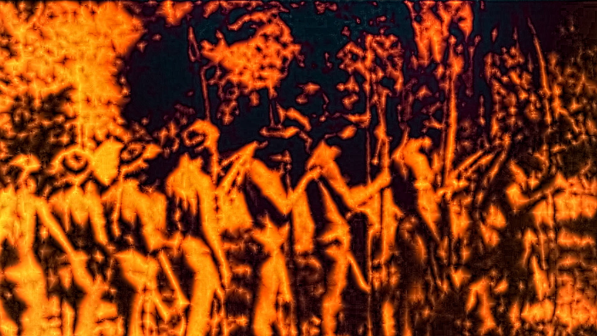 A conquista da floresta