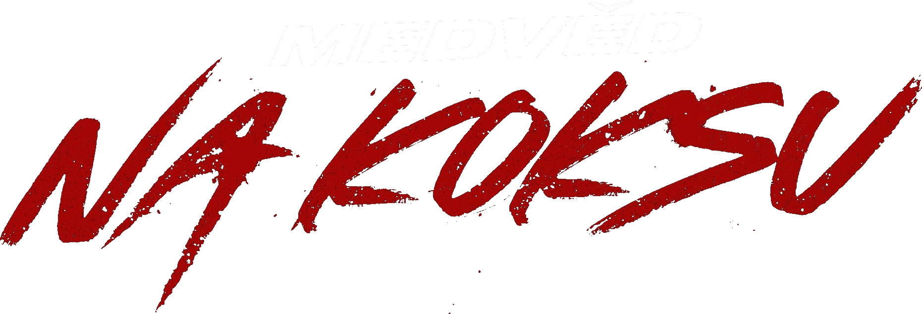 Medvěd na koksu