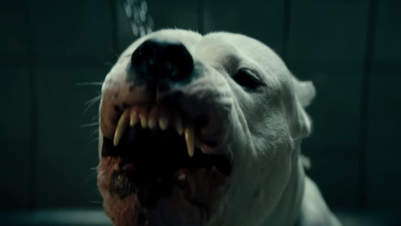 Watch Dogman (2018) Full Movie at megafilm4k.com