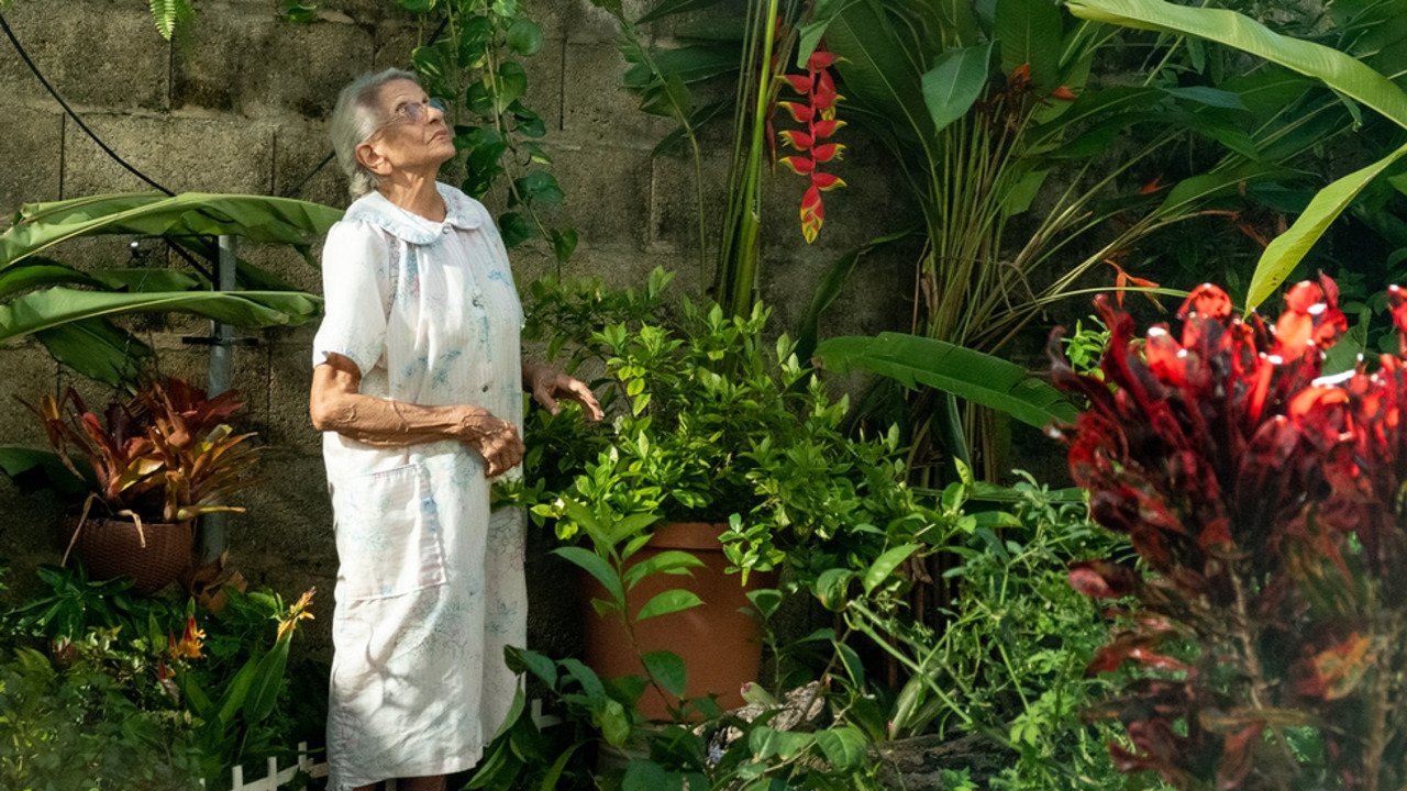 Perfume de gardenias (2021)