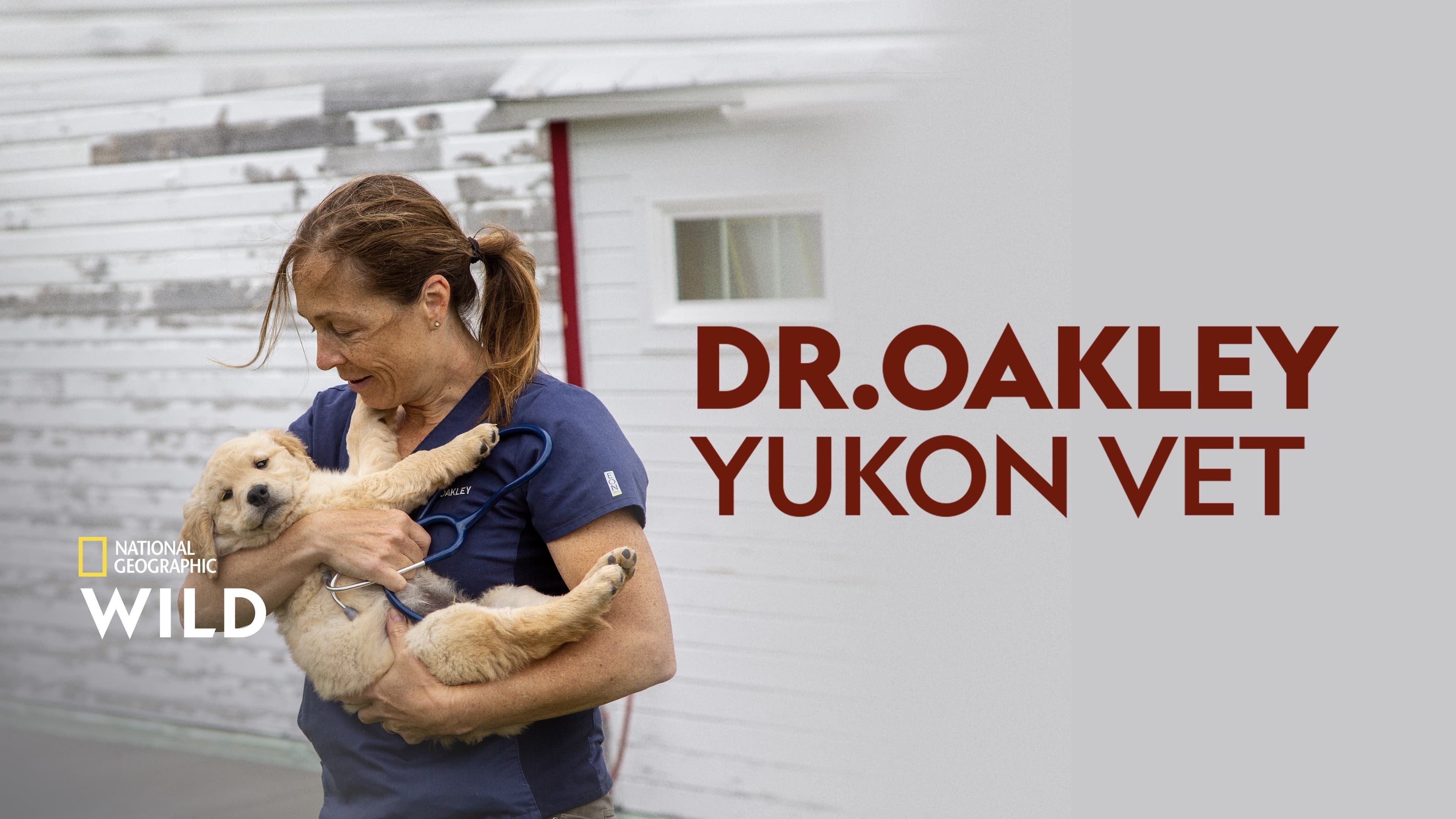 Dr. Oakley, Yukon Vet - Season 10 Episode 6 : This Little Piggy Had An Ouch...