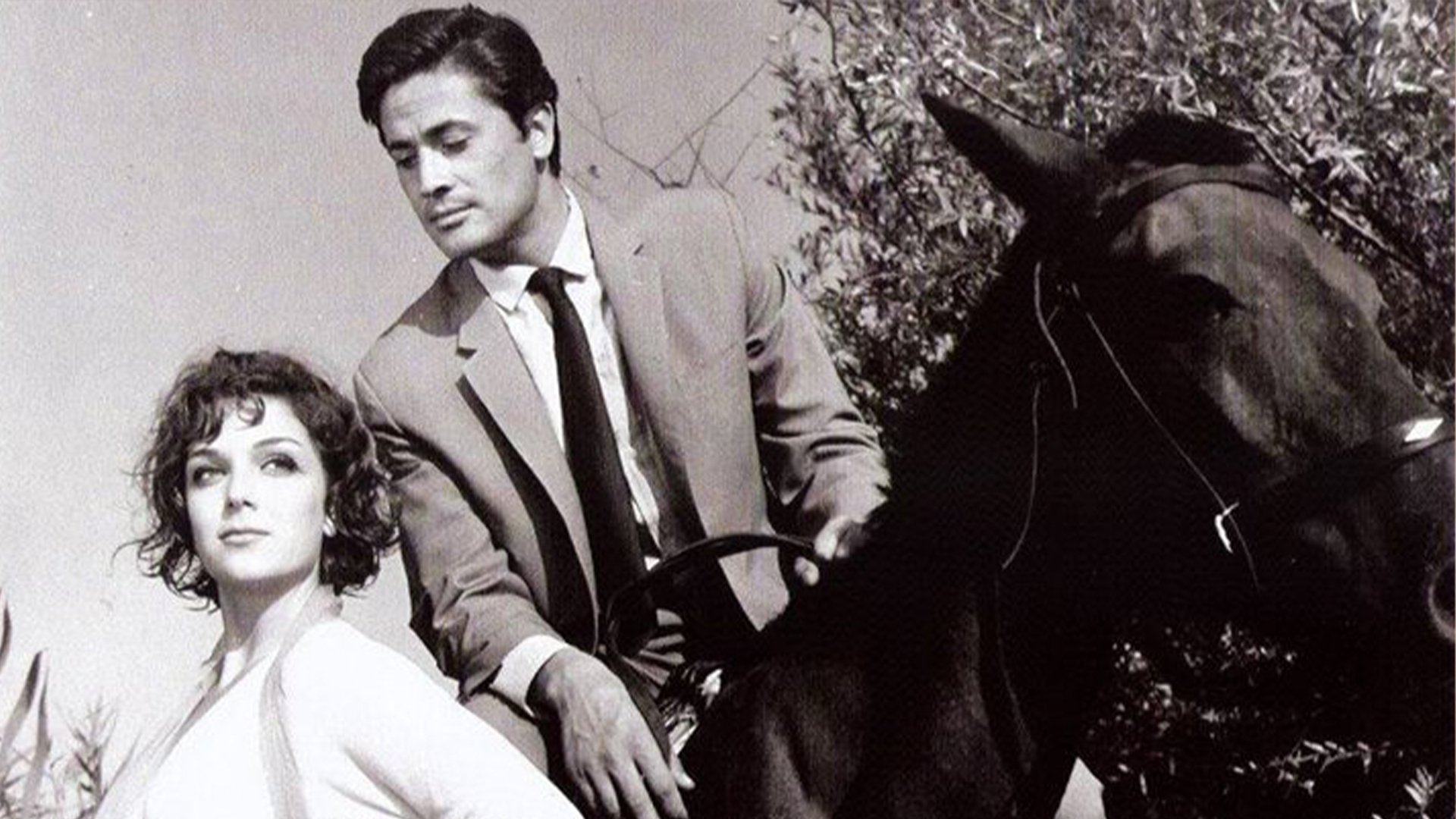 İnatçı Gelin (1965)
