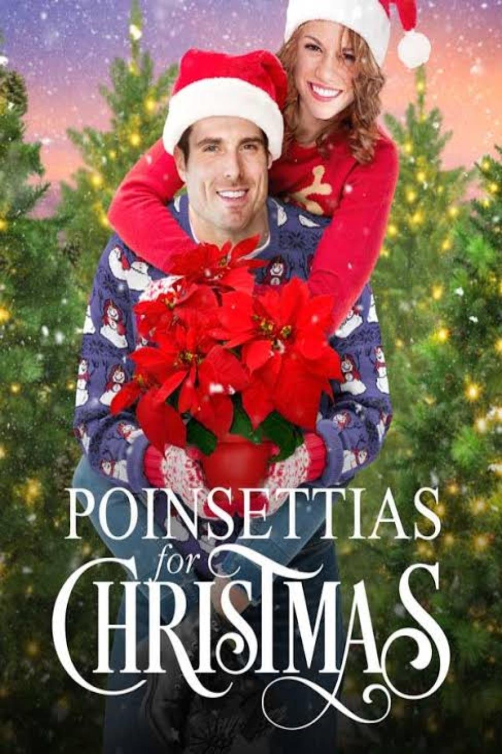 Poinsettias for Christmas