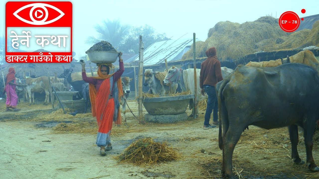 Thumbnail for Doctor Gaun ko Katha Season 1 Episode 78