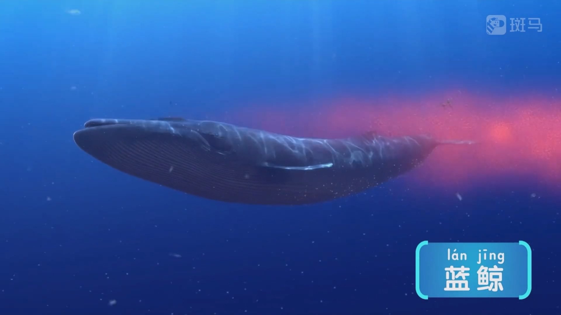 Thumbnail for Episode 4 Season 1 Episode 4