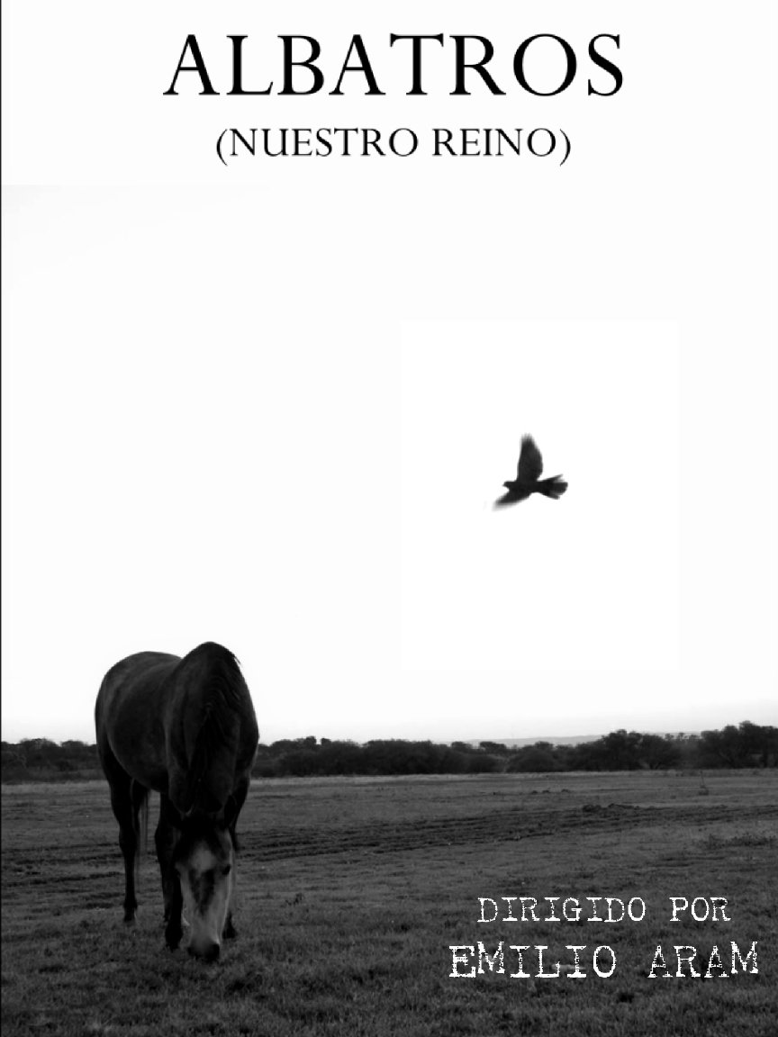 Albatross (Our Kingdom) (2024)