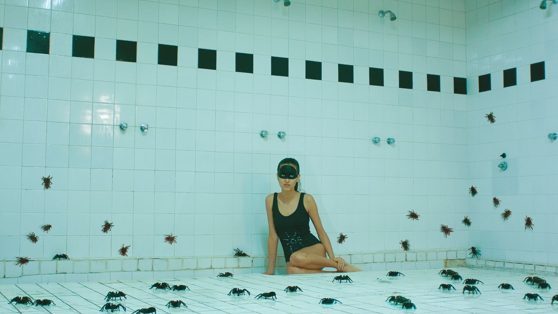 Arachnids (2015)