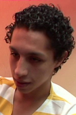 et billede af Wilmer