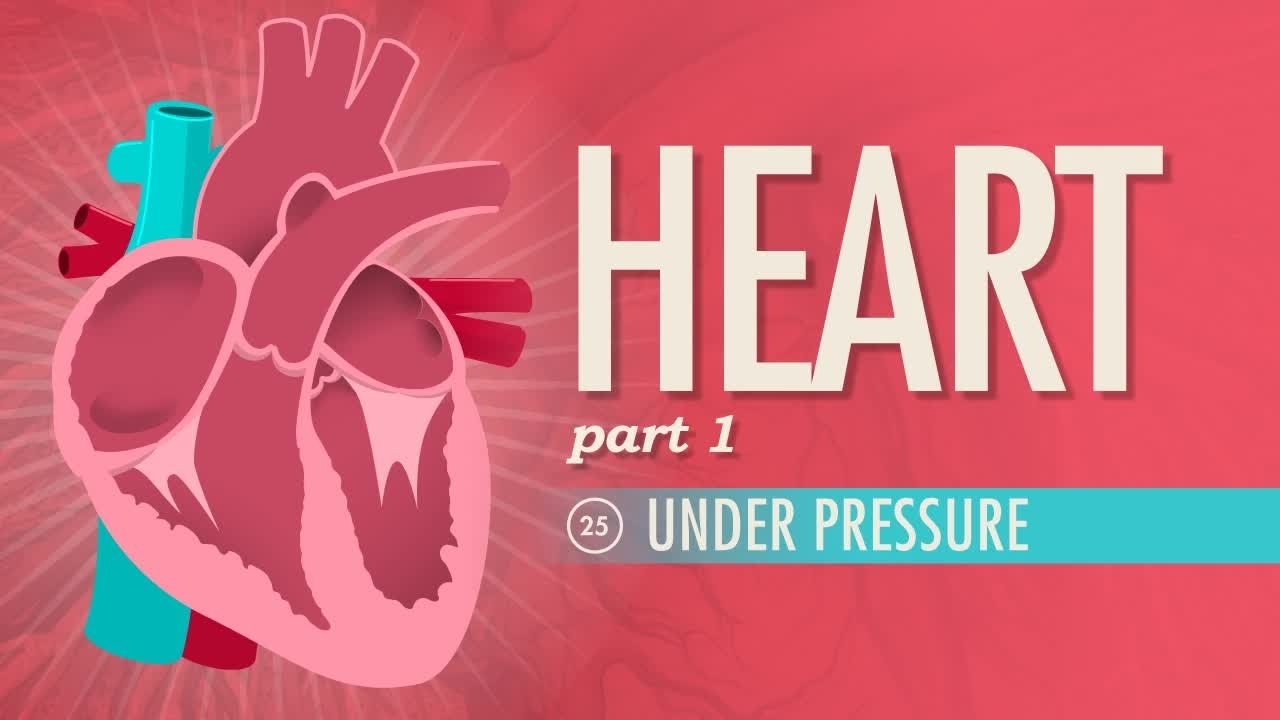 Episode 25