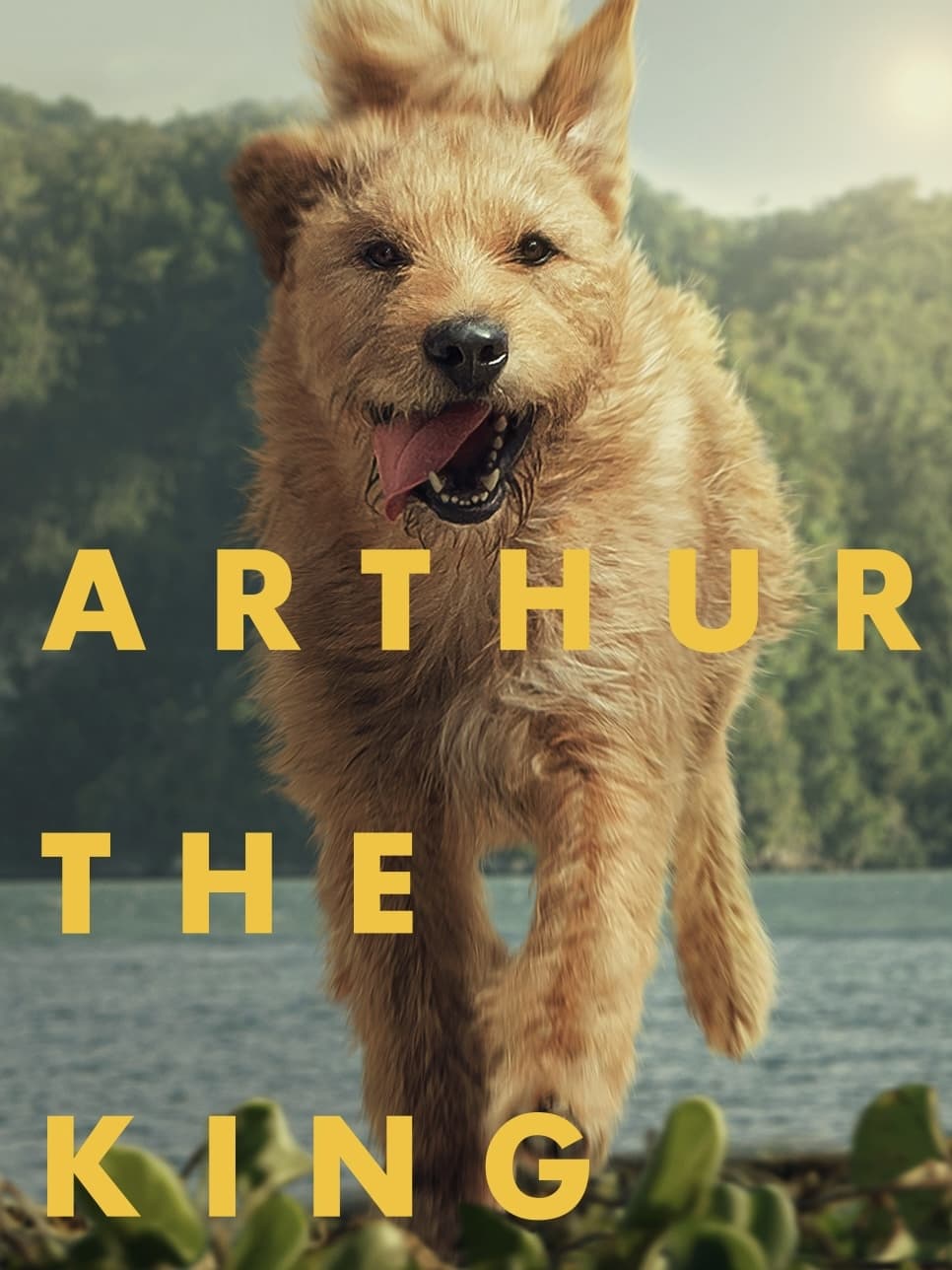 Arthur the King