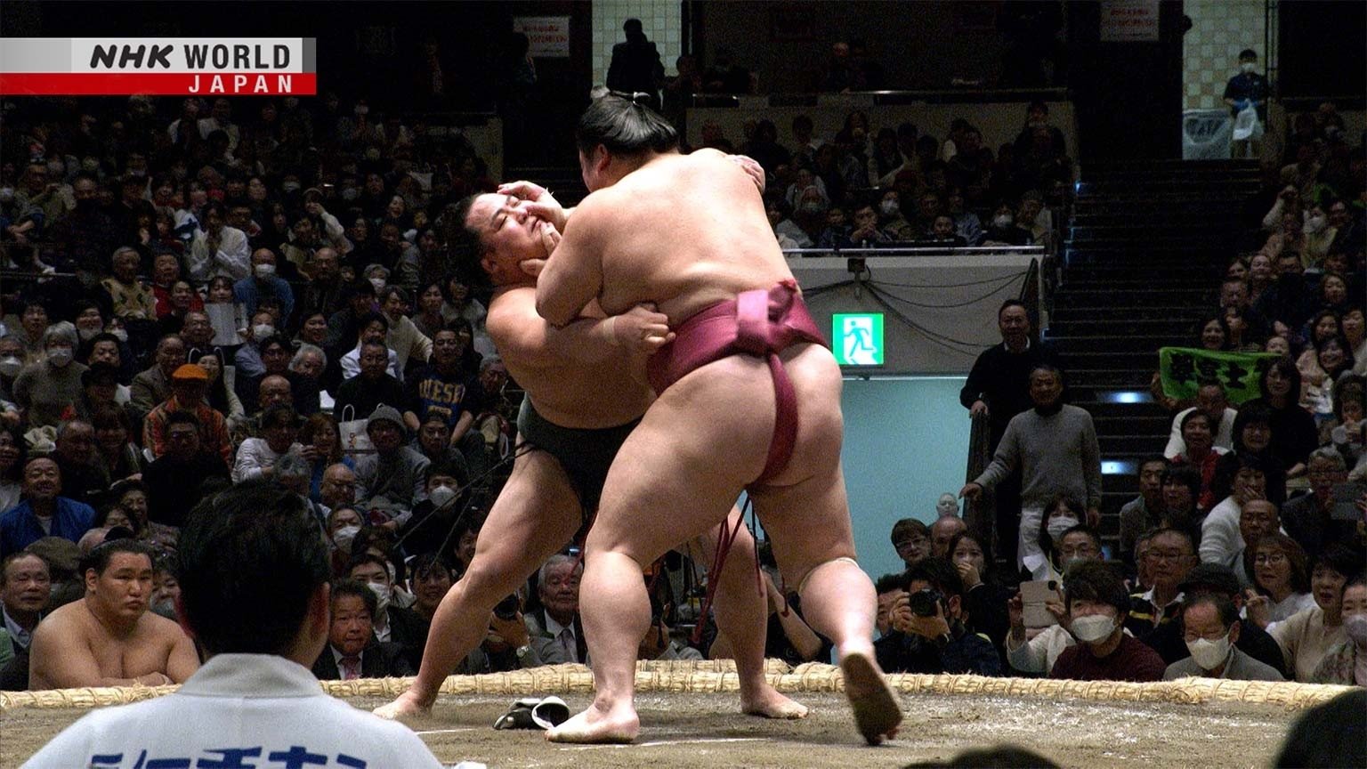 GRAND SUMO Highlights Staffel 21 :Folge 8 