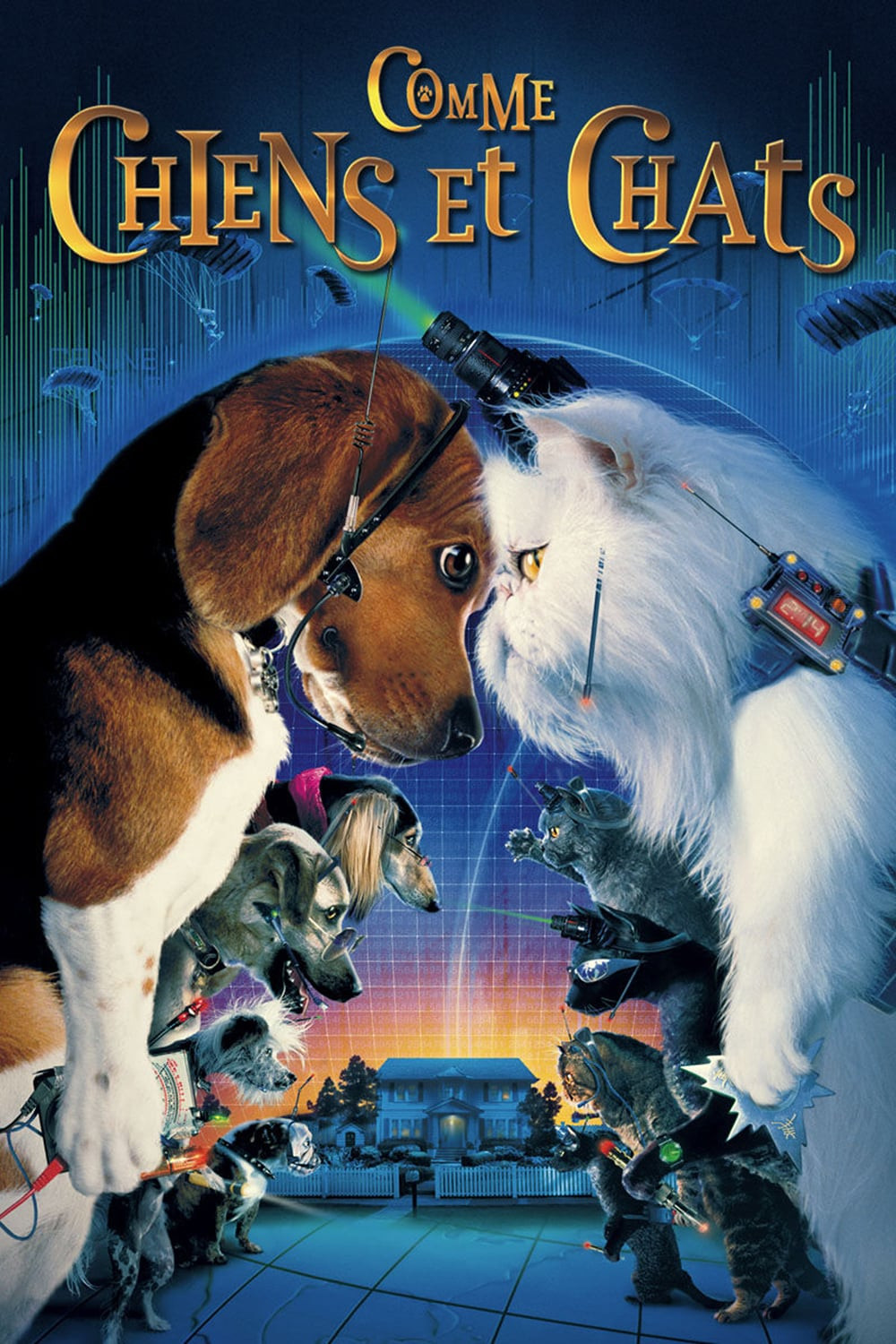 COMME CHIENS ET CHATS